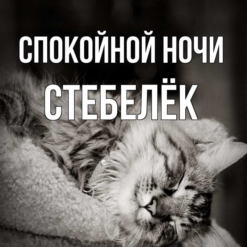 Картинка Спокойной ночи, Стебелёк