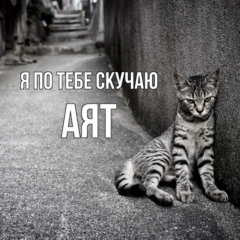 Картинка Я по тебе скучаю, Аят