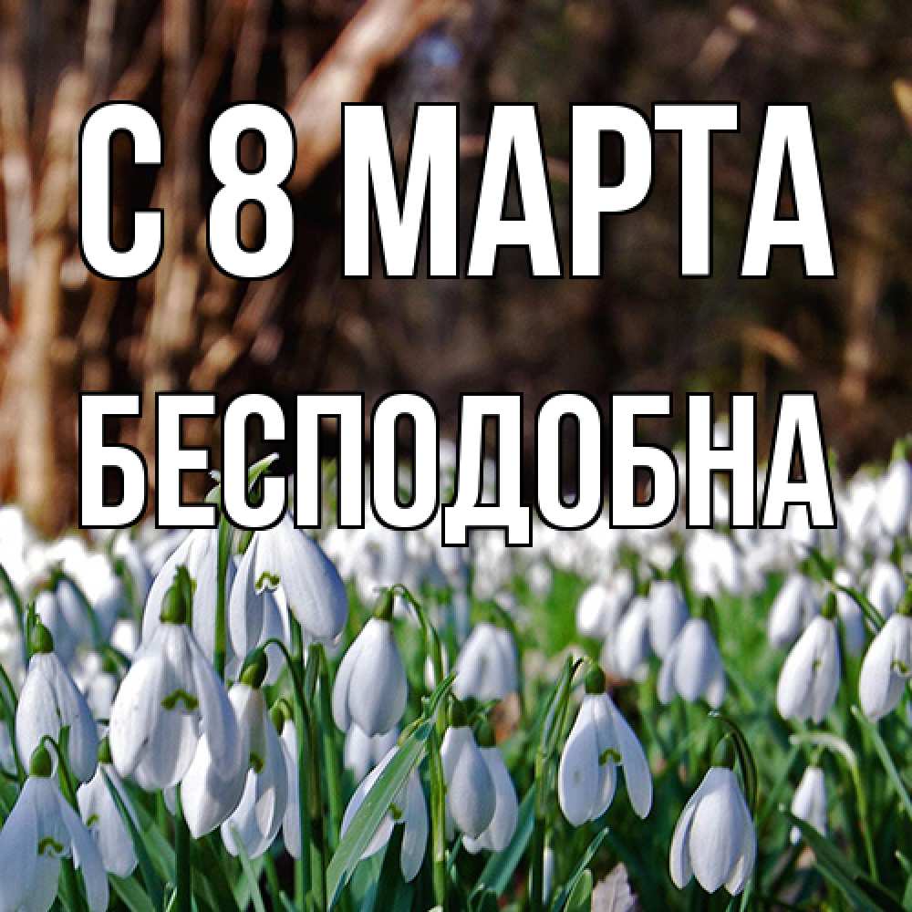 Открытка на каждый день с именем, Бесподобна C 8 МАРТА с подснежниками 1 Прикольная открытка с пожеланием онлайн скачать бесплатно 