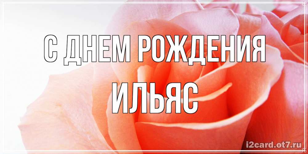Открытка на каждый день с именем, Ильяс С днем рождения розы для поздравления с днем рождения Прикольная открытка с пожеланием онлайн скачать бесплатно 