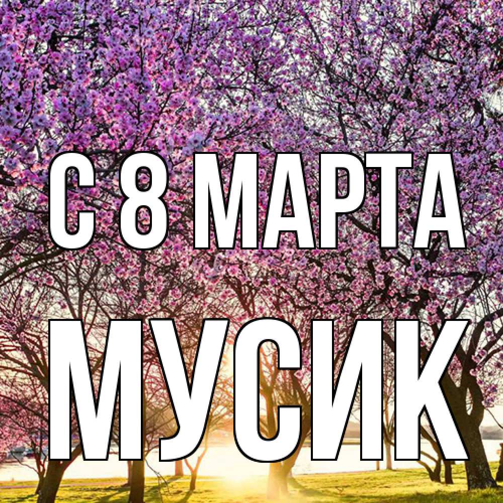 Открытка на каждый день с именем, мусик C 8 МАРТА международный женский день Прикольная открытка с пожеланием онлайн скачать бесплатно 