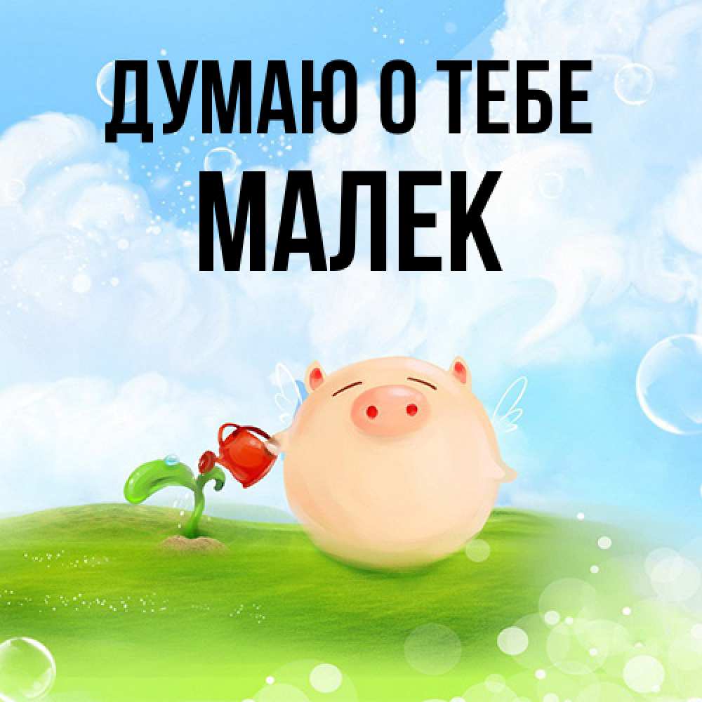 Открытка на каждый день с именем, Малек Думаю о тебе позитивная свинюшка Прикольная открытка с пожеланием онлайн скачать бесплатно 