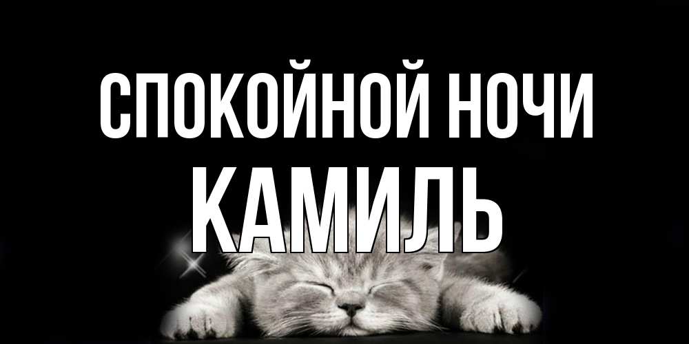 Открытка на каждый день с именем, Камиль Спокойной ночи спящий котик Прикольная открытка с пожеланием онлайн скачать бесплатно 