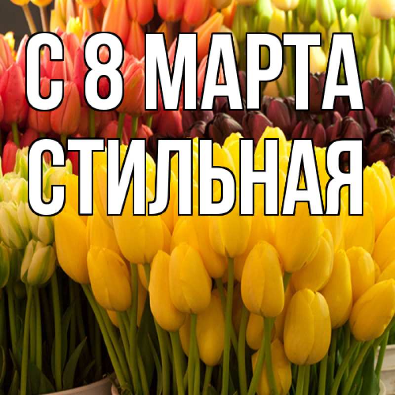 Картинка C 8 МАРТА, Стильная