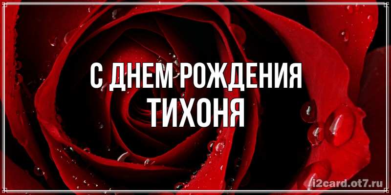 Картинка С днем рождения, Тихоня
