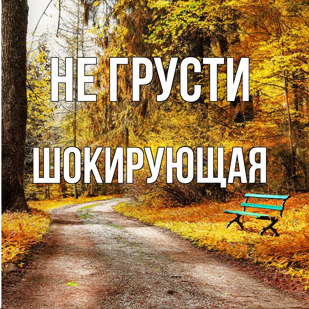 Открытка на каждый день с именем, Шокирующая Не грусти зеленая лавочка Прикольная открытка с пожеланием онлайн скачать бесплатно 