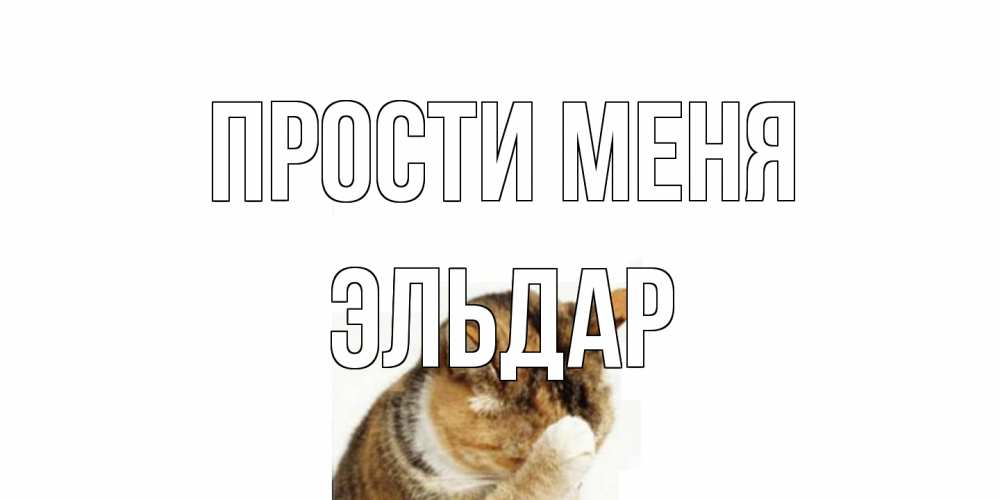 Открытка на каждый день с именем, Эльдар Прости меня кот Прикольная открытка с пожеланием онлайн скачать бесплатно 