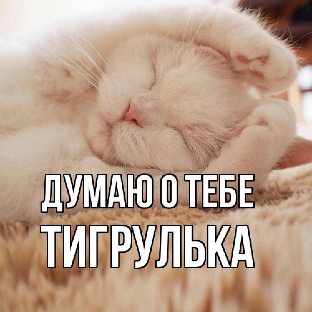 Открытка на каждый день с именем, тигрулька Думаю о тебе для любимой девушки милота Прикольная открытка с пожеланием онлайн скачать бесплатно 
