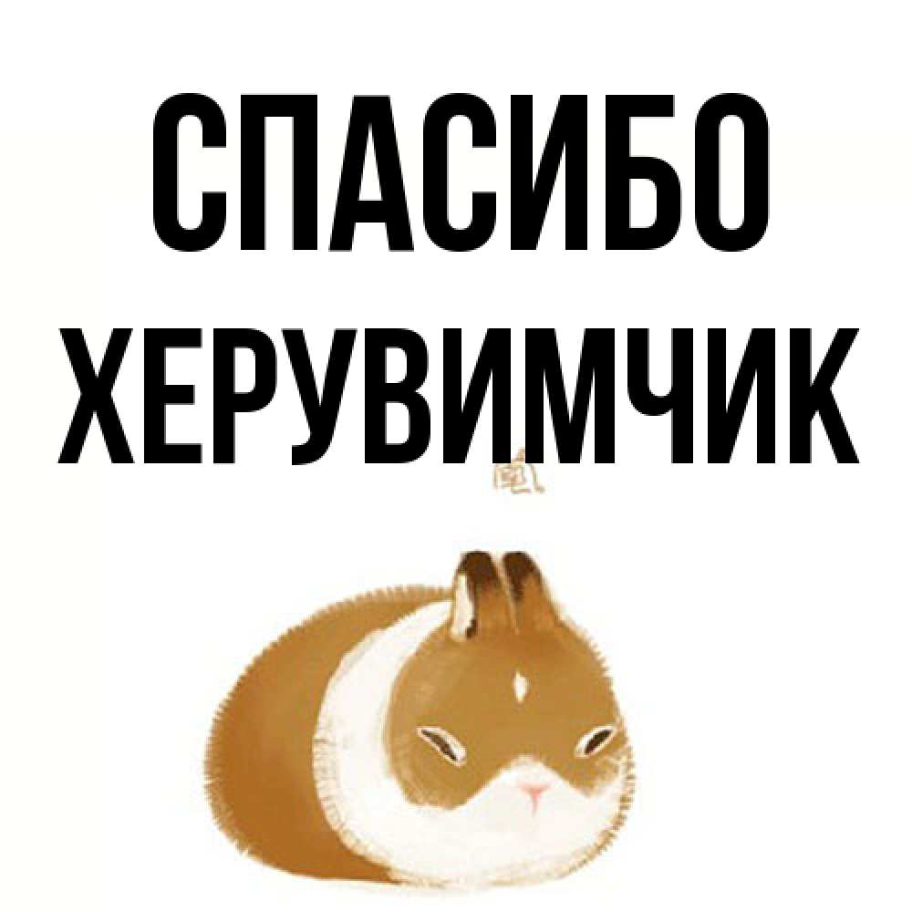 Открытка на каждый день с именем, Хеpувимчик Спасибо коричнево белый домашний питомец Прикольная открытка с пожеланием онлайн скачать бесплатно 