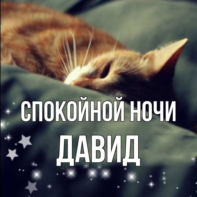 Картинка Спокойной ночи, Давид