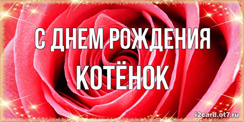Картинка С днем рождения, Котёнок