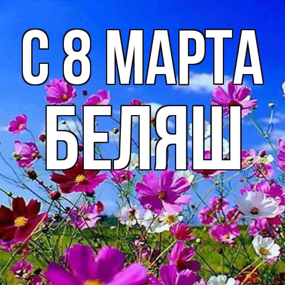 Открытка на каждый день с именем, Беляш C 8 МАРТА цветы Прикольная открытка с пожеланием онлайн скачать бесплатно 