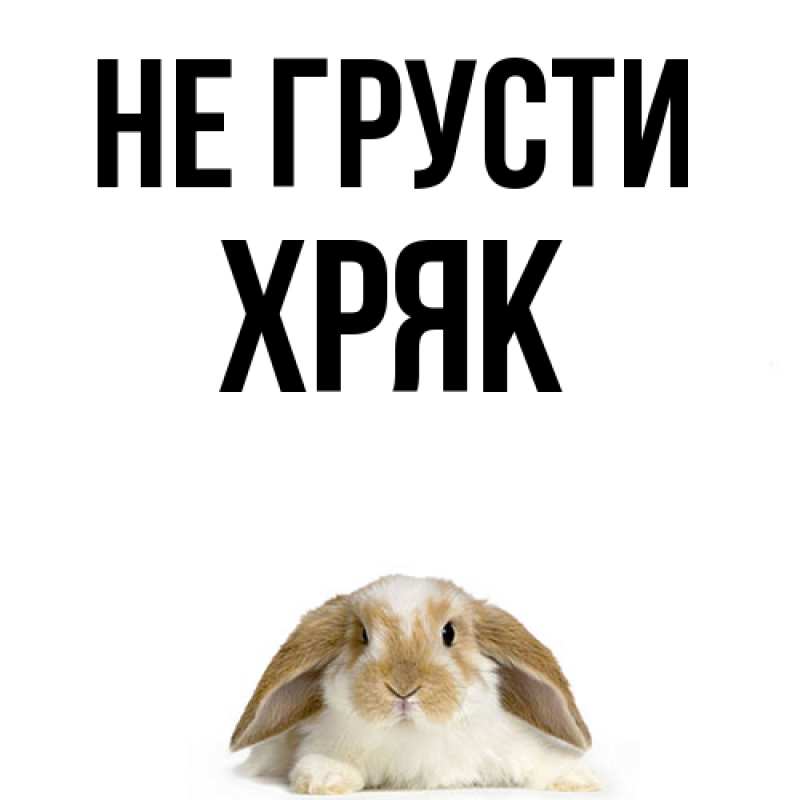 Картинка Не грусти, Хряк