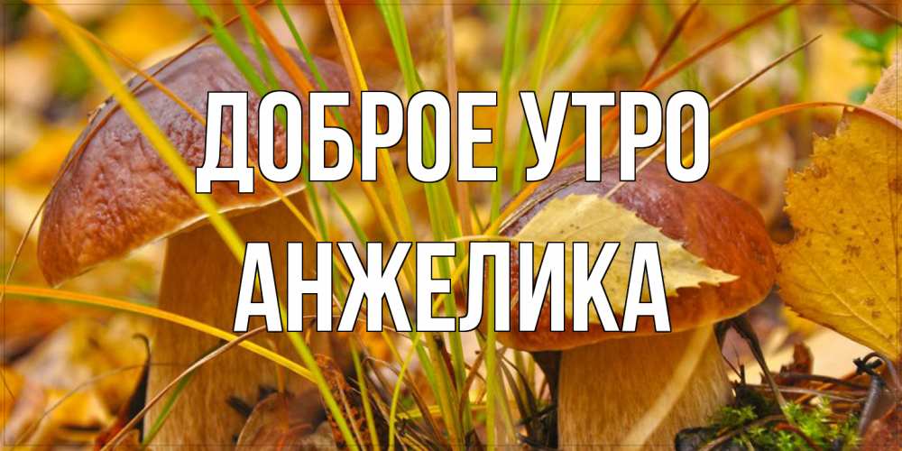 Открытка на каждый день с именем, Анжелика Доброе утро осенние грибы Прикольная открытка с пожеланием онлайн скачать бесплатно 