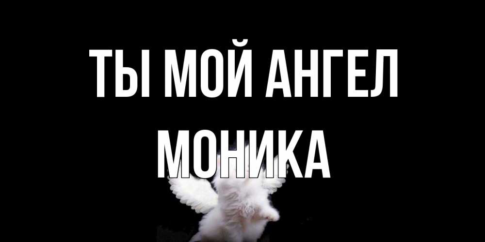 Открытка на каждый день с именем, Моника Ты мой ангел Кот ангел Прикольная открытка с пожеланием онлайн скачать бесплатно 