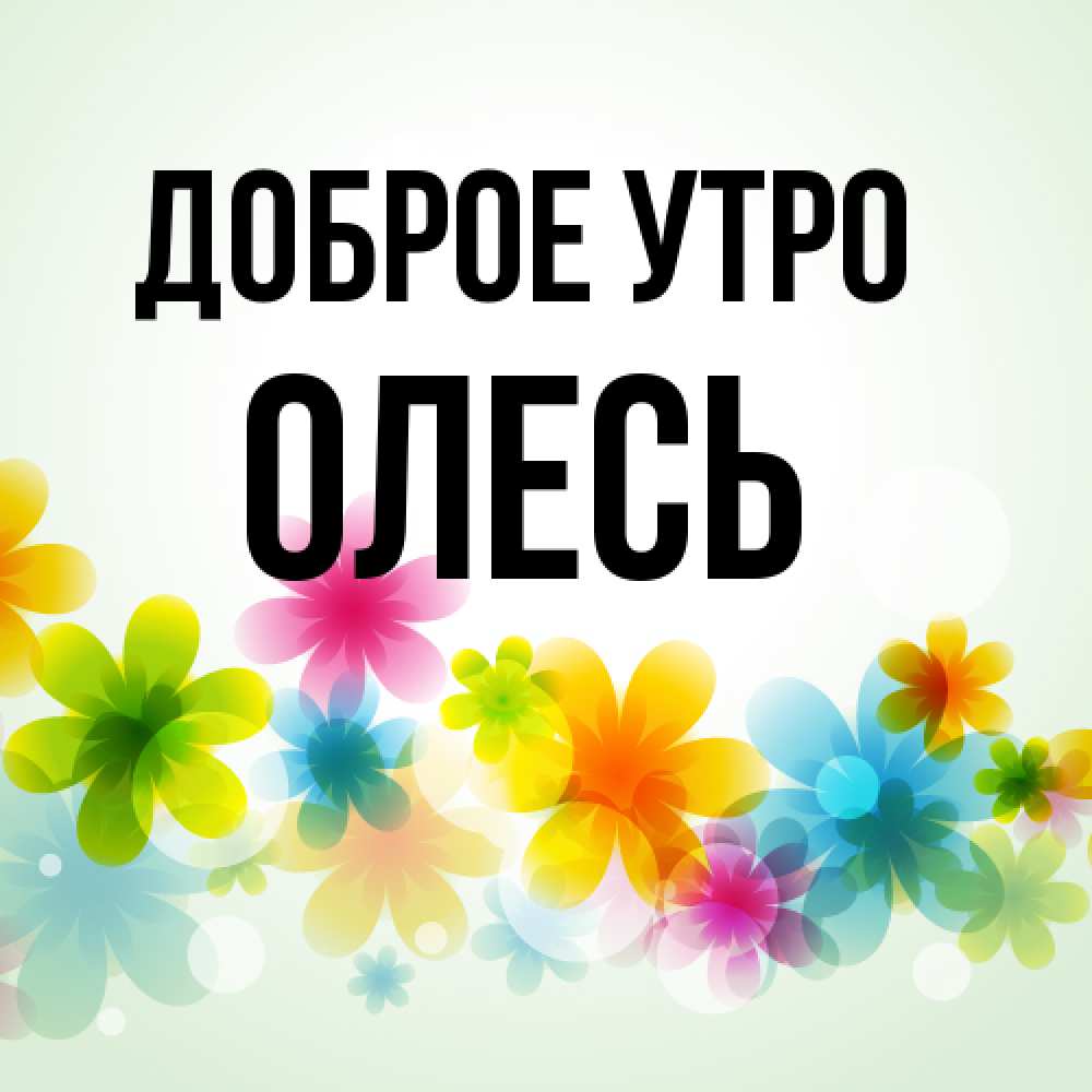Открытка на каждый день с именем, Олесь Доброе утро позитивные цветочки Прикольная открытка с пожеланием онлайн скачать бесплатно 