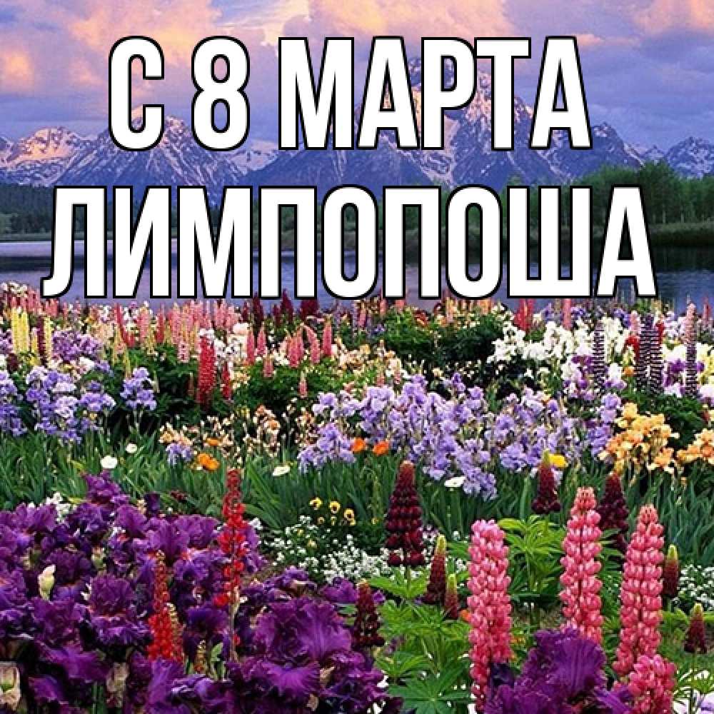 Открытка на каждый день с именем, лимпопоша C 8 МАРТА международный женский день Прикольная открытка с пожеланием онлайн скачать бесплатно 