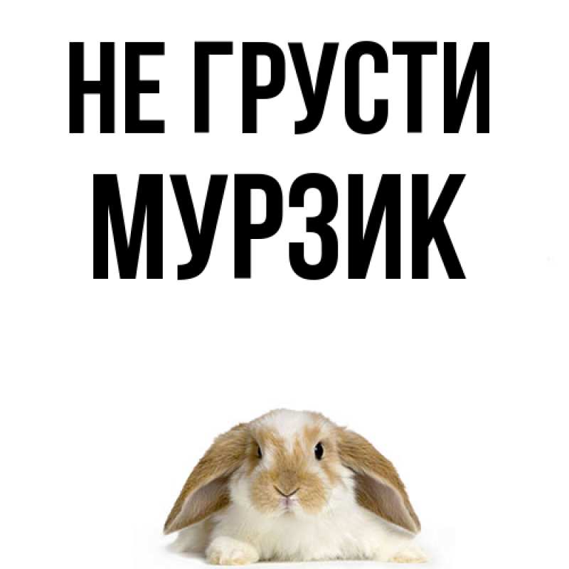 Картинка Не грусти, Мурзик