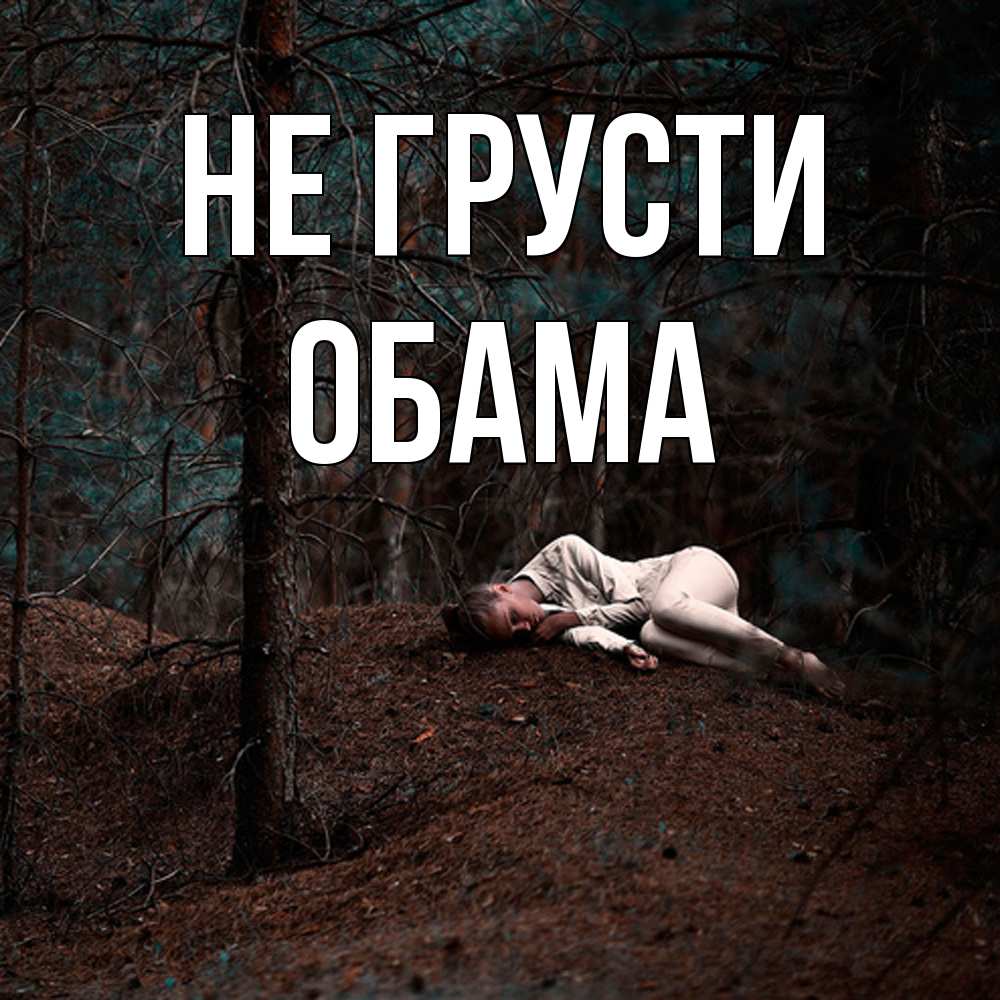 Открытка на каждый день с именем, Обама Не грусти лес Прикольная открытка с пожеланием онлайн скачать бесплатно 