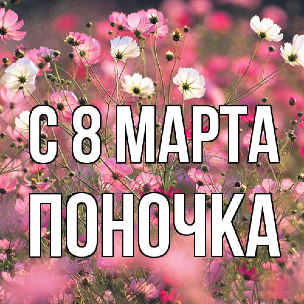 Открытка на каждый день с именем, поночка C 8 МАРТА красиво 1 Прикольная открытка с пожеланием онлайн скачать бесплатно 
