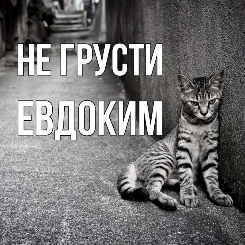 Картинка Не грусти, Евдоким