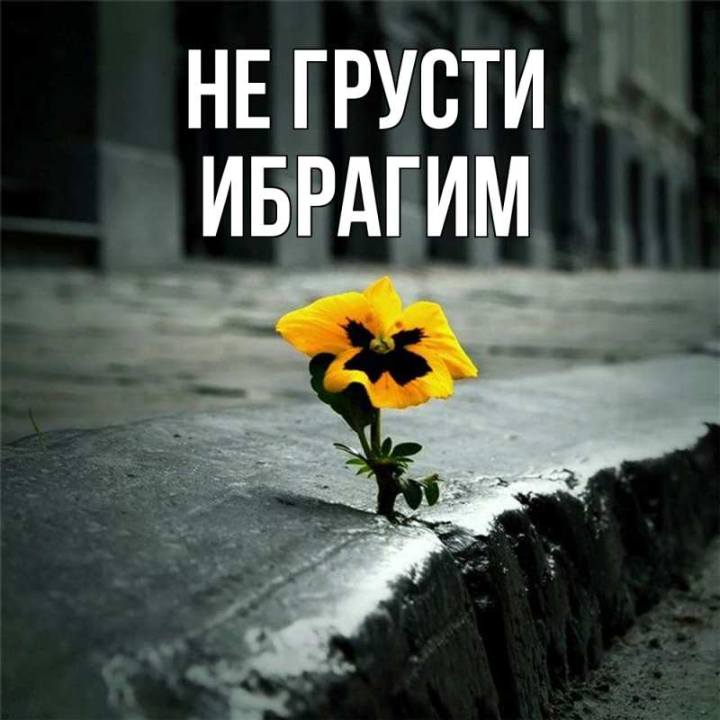 Картинка Не грусти, Ибрагим