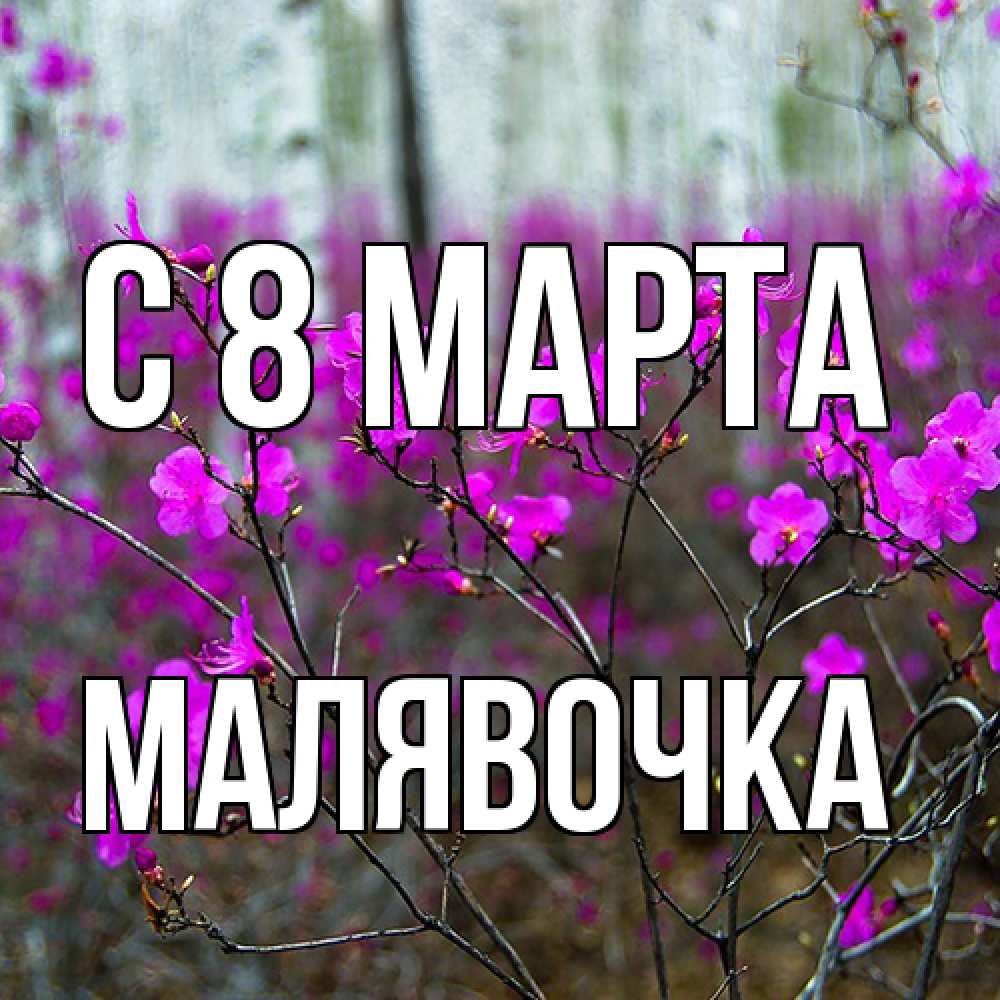Открытка на каждый день с именем, малявочка C 8 МАРТА дикие цветы Прикольная открытка с пожеланием онлайн скачать бесплатно 