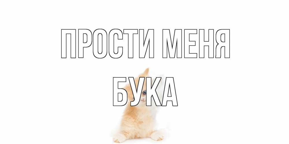 Открытка на каждый день с именем, Бука Прости меня кот Прикольная открытка с пожеланием онлайн скачать бесплатно 