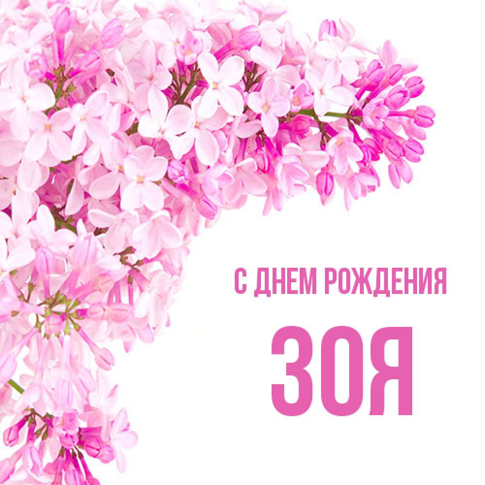 Открытка на каждый день с именем, Зоя С днем рождения Сирень на белом фоне Прикольная открытка с пожеланием онлайн скачать бесплатно 