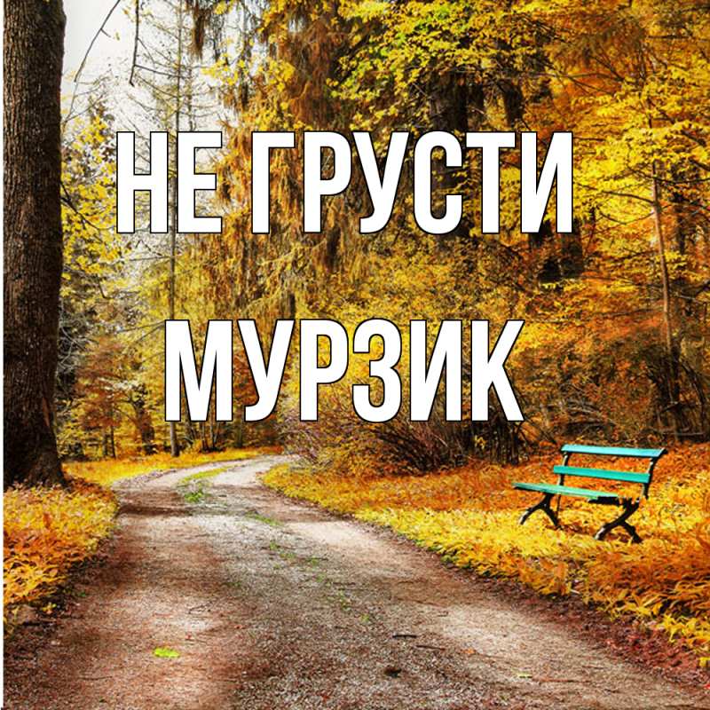 Картинка Не грусти, Мурзик