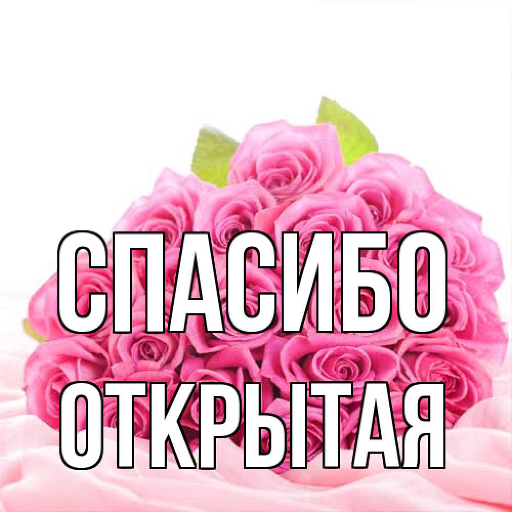 Открытка на каждый день с именем, открытая Спасибо розовые розы с подписью Прикольная открытка с пожеланием онлайн скачать бесплатно 