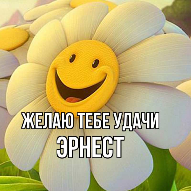 Картинка Желаю тебе удачи, Эрнест