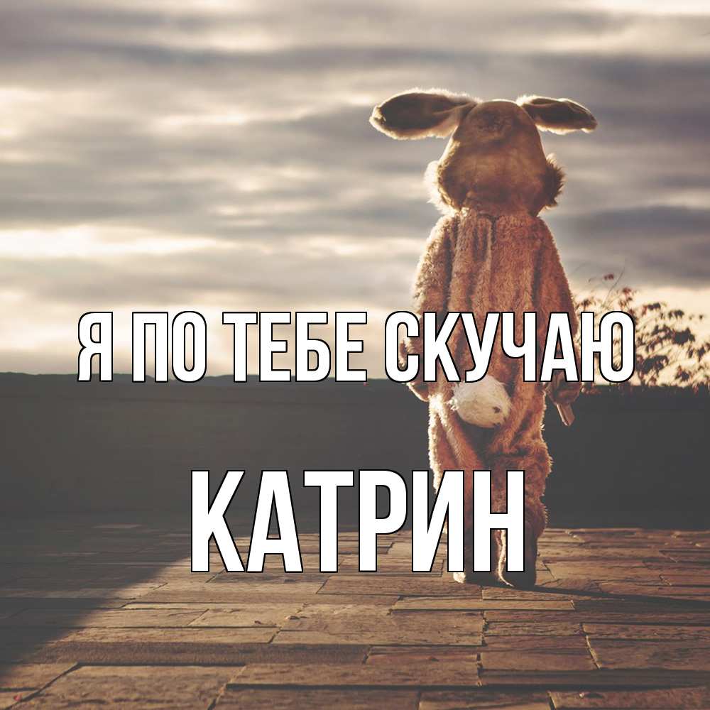 Открытка на каждый день с именем, Катрин Я по тебе скучаю даже в костюме зайца Прикольная открытка с пожеланием онлайн скачать бесплатно 
