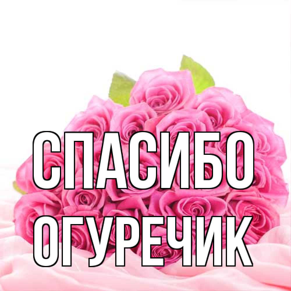 Открытка на каждый день с именем, Огуречик Спасибо розовые розы с подписью Прикольная открытка с пожеланием онлайн скачать бесплатно 