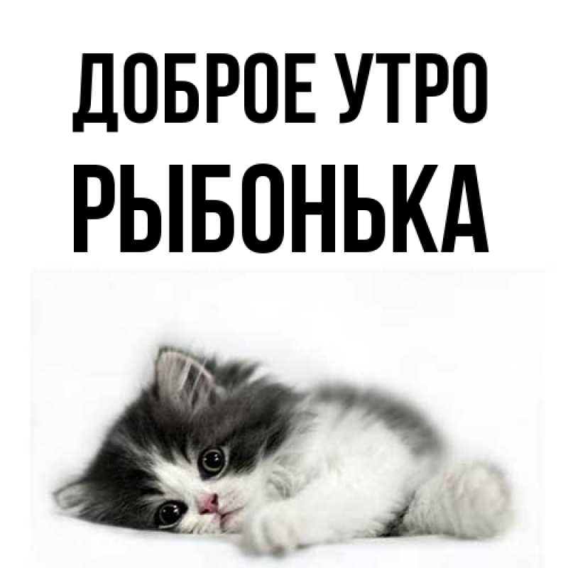 Картинка Доброе утро, Рыбонька