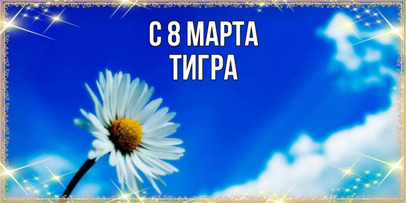 Картинка C 8 МАРТА, Тигpа