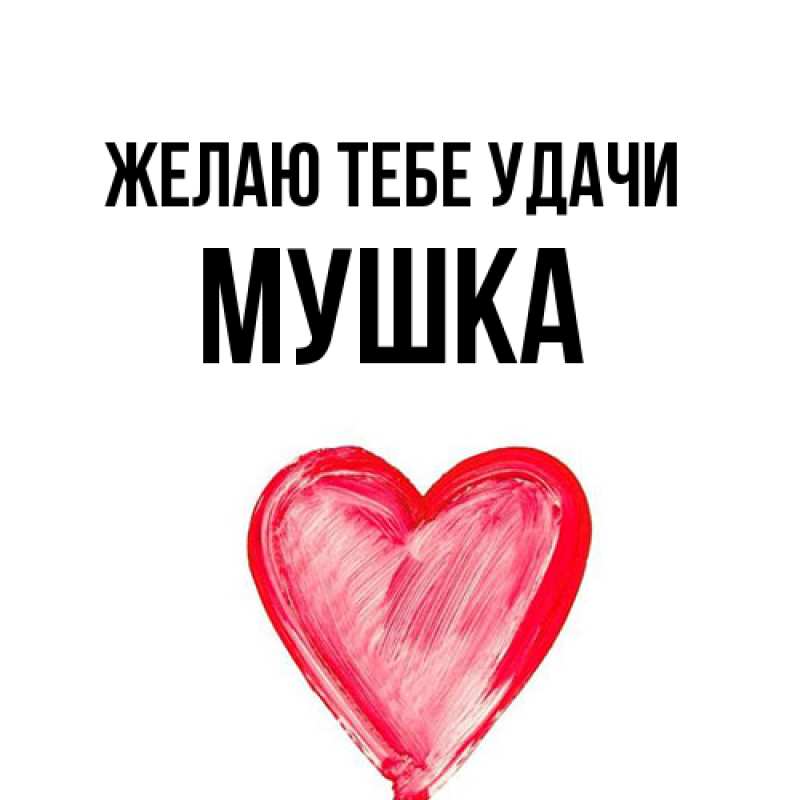 Картинка Желаю тебе удачи, мушка