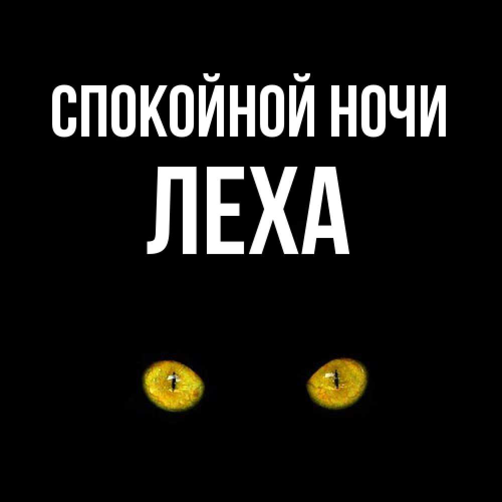 Открытка на каждый день с именем, леха Спокойной ночи сладких снов бесстрашный мой дружочек Прикольная открытка с пожеланием онлайн скачать бесплатно 