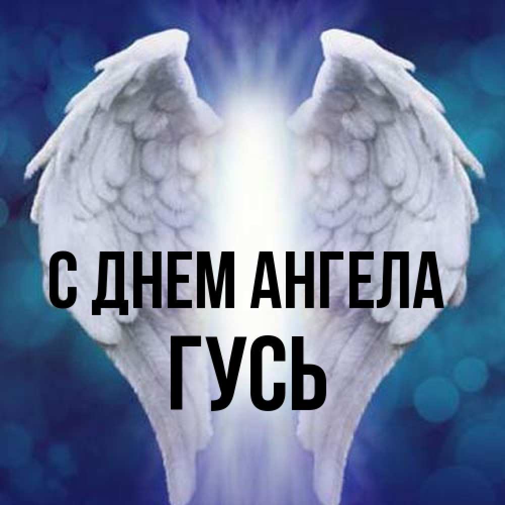Открытка на каждый день с именем, Гусь С днем ангела синий фон и крылышки Прикольная открытка с пожеланием онлайн скачать бесплатно 
