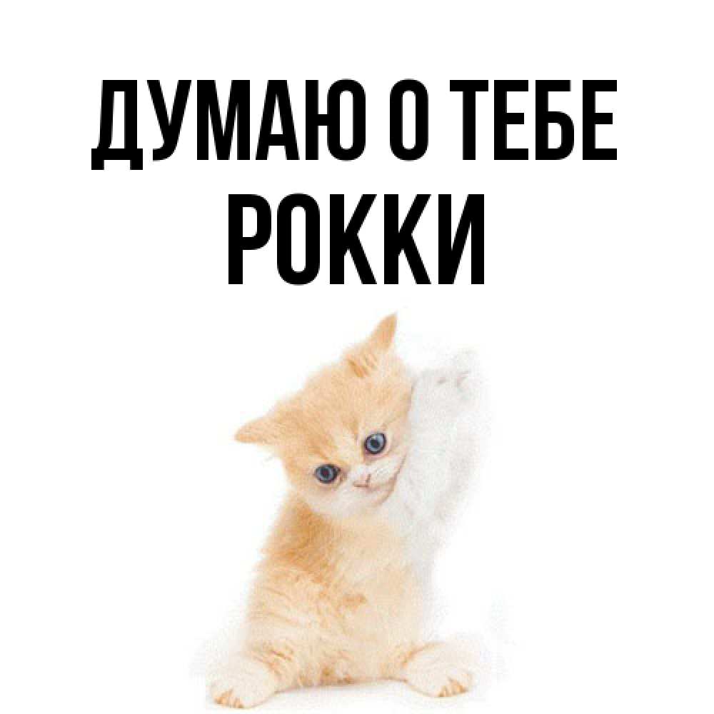 Открытка на каждый день с именем, Рокки Думаю о тебе зверушки и милота Прикольная открытка с пожеланием онлайн скачать бесплатно 