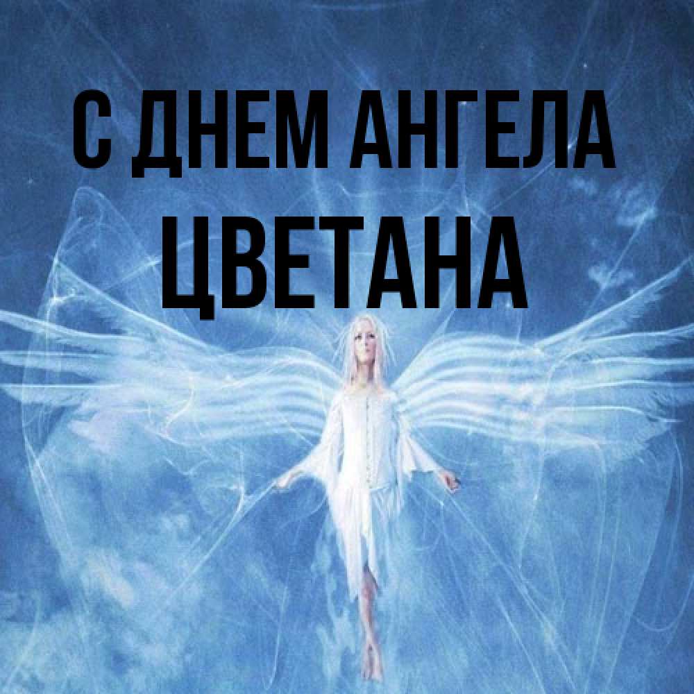 Открытка на каждый день с именем, Цветана С днем ангела голубой фон и крылья как у стрекозы Прикольная открытка с пожеланием онлайн скачать бесплатно 