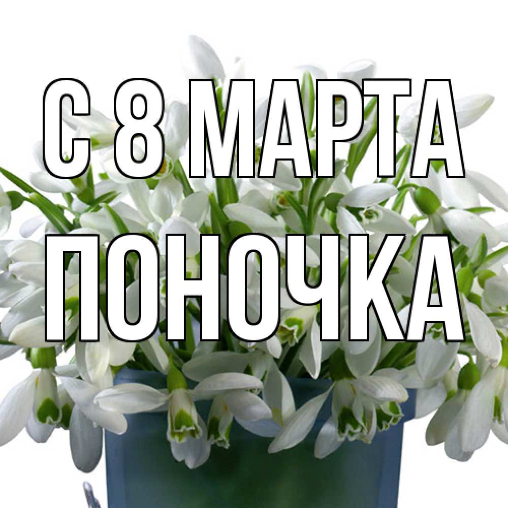 Открытка на каждый день с именем, поночка C 8 МАРТА цветы к международному женскому дню Прикольная открытка с пожеланием онлайн скачать бесплатно 