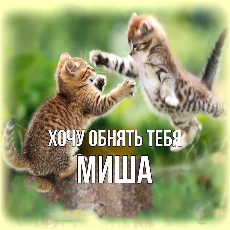 Картинка Хочу обнять тебя, Миша