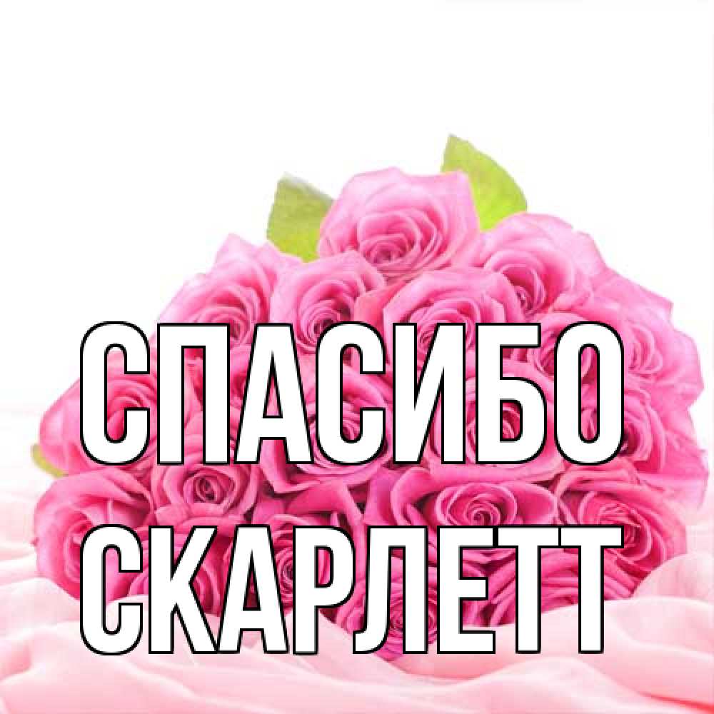 Открытка на каждый день с именем, Скарлетт Спасибо розовые розы с подписью Прикольная открытка с пожеланием онлайн скачать бесплатно 