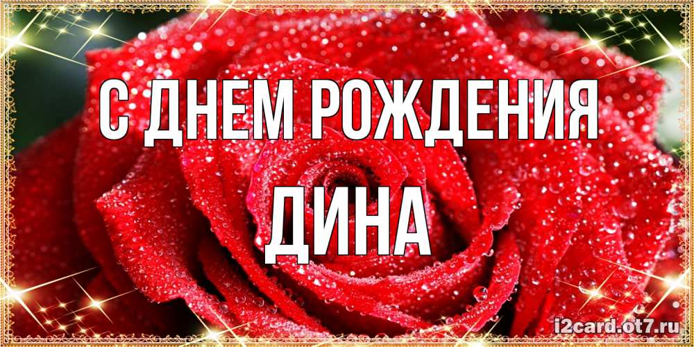 Открытка на каждый день с именем, Дина С днем рождения роса и роза. открытка с красивой розой Прикольная открытка с пожеланием онлайн скачать бесплатно 
