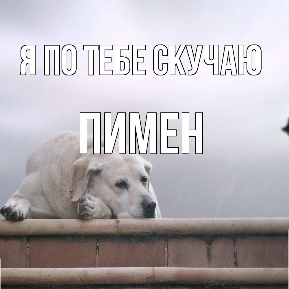 Открытка на каждый день с именем, Пимен Я по тебе скучаю ждет Прикольная открытка с пожеланием онлайн скачать бесплатно 