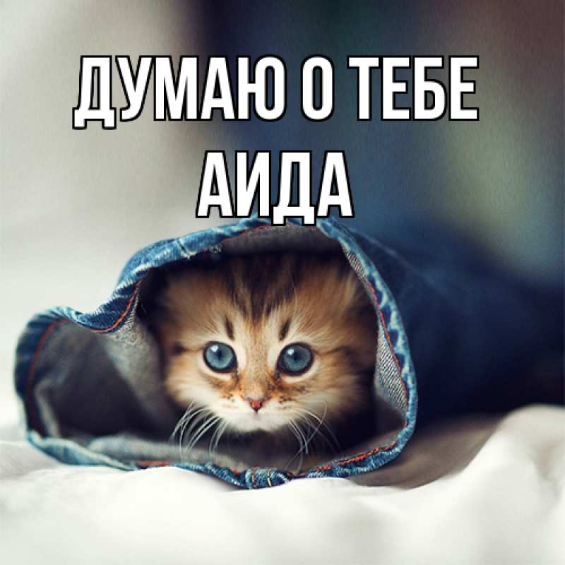 Картинка Думаю о тебе, Аида