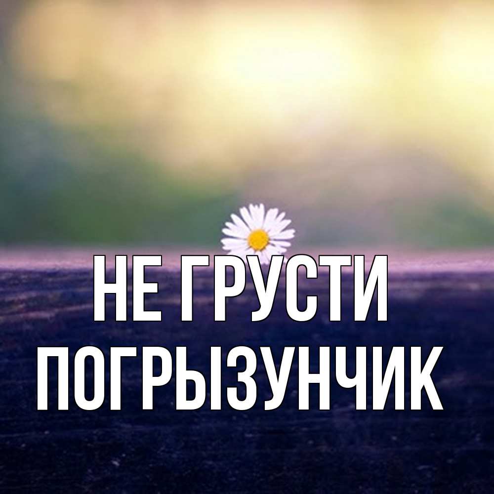 Открытка на каждый день с именем, Погрызунчик Не грусти красота Прикольная открытка с пожеланием онлайн скачать бесплатно 