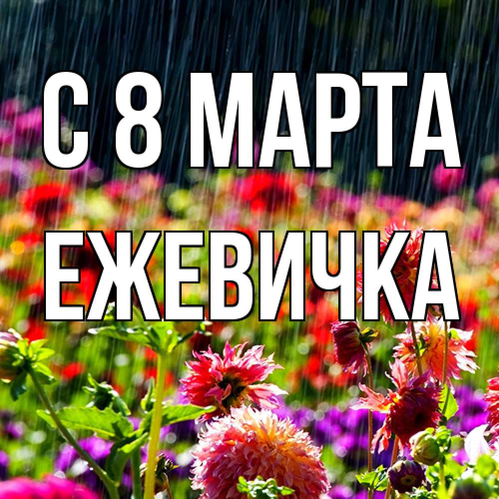 Открытка на каждый день с именем, ежевичка C 8 МАРТА цветы под дождиком к международному женскому дню Прикольная открытка с пожеланием онлайн скачать бесплатно 