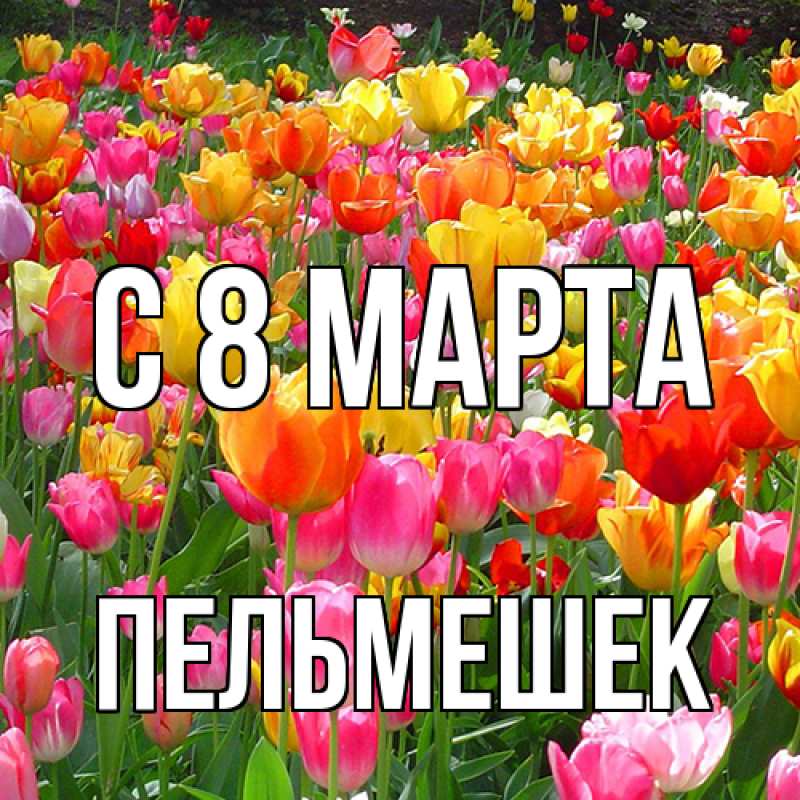 Картинка C 8 МАРТА, пельмешек